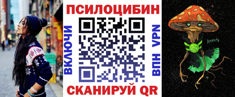 магазин продажи   Поворино  Галлюциногенные грибы мицелий 
